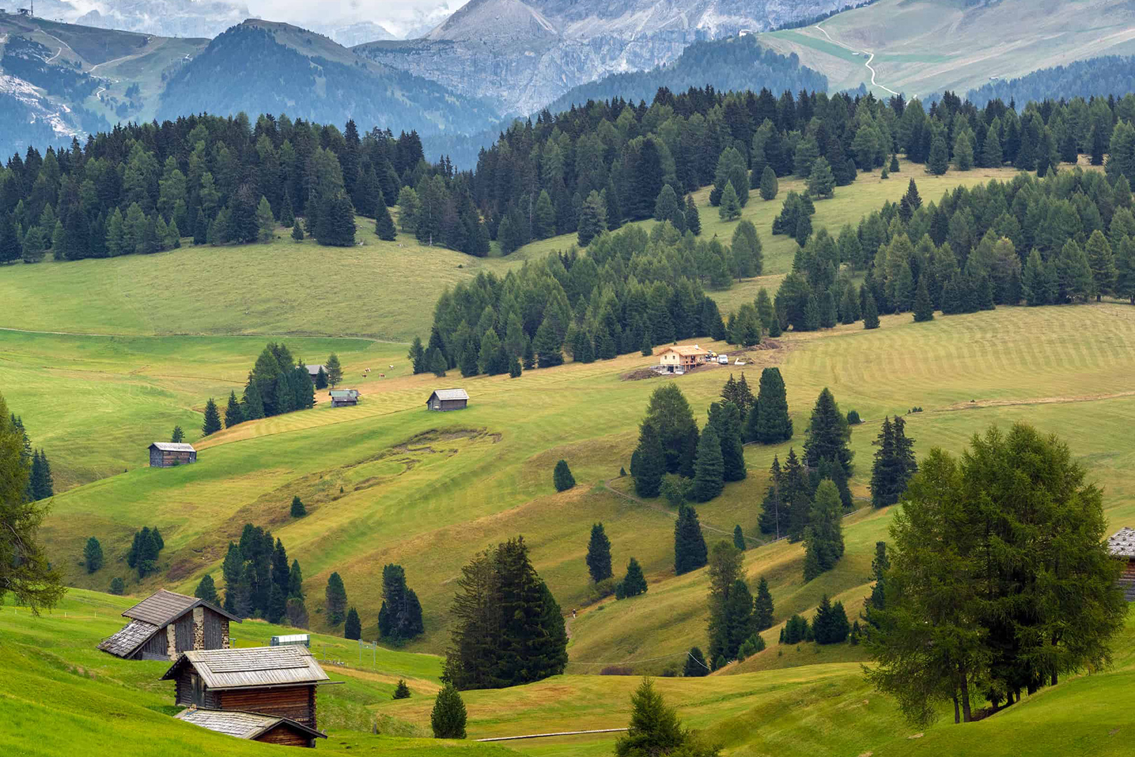 Beautiful scenery at Alpe di Siusi