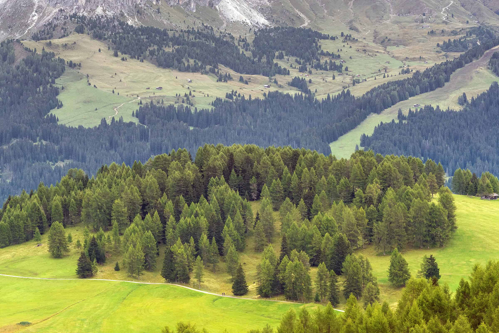 Layers of depth at Alpe di Siusi