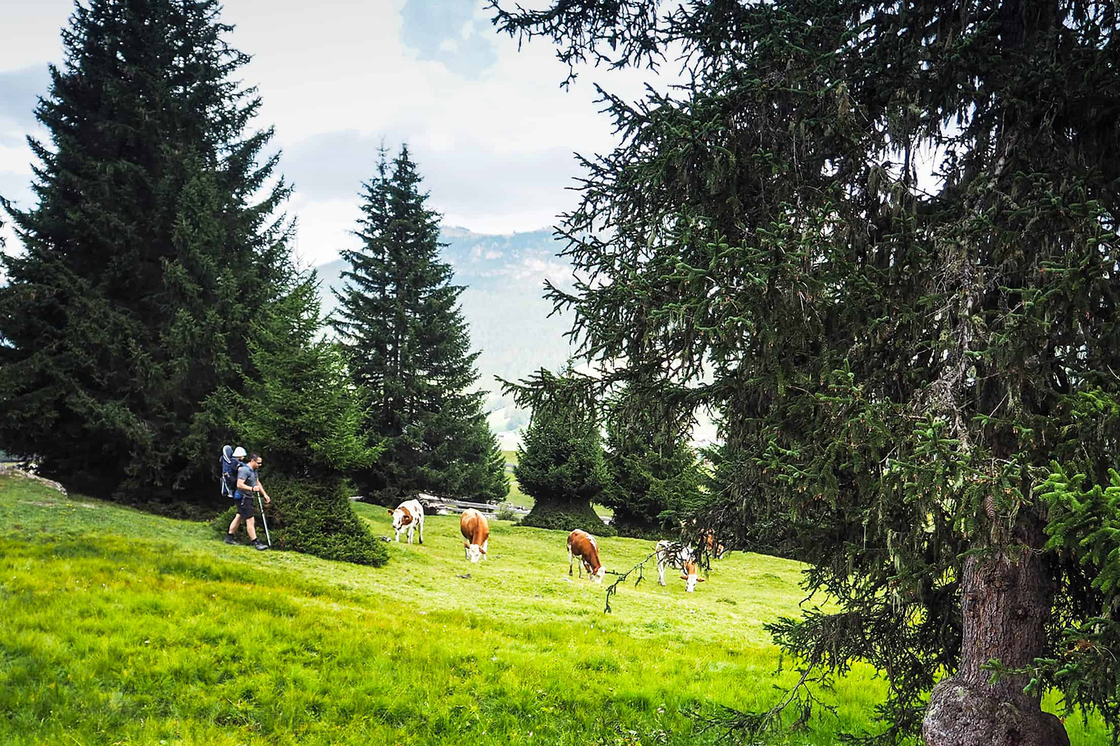 Me and my kid in her kids carrier